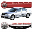 Очки на фары (Серые) SKODA SUPERB (01-08)