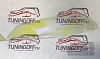Очки на фары (Хамелеон) TOYOTA CARINA T210-T215 (96-00)