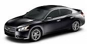 MAXIMA (2009-)