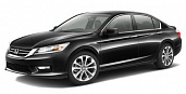 ACCORD (2013-)