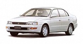 CORONA 190 / CARINA E
