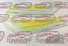 Очки на фары (Хамелеон) TOYOTA CARINA T210-T215 (96-00)